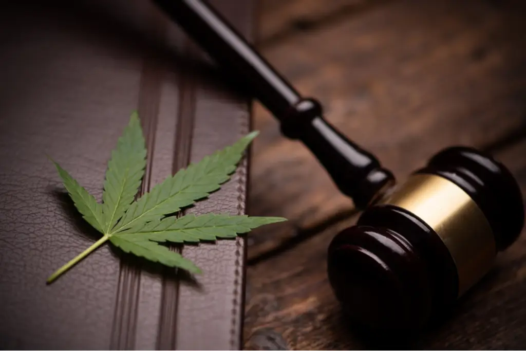 Cannabis Counsel